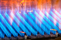 Guildiehaugh gas fired boilers